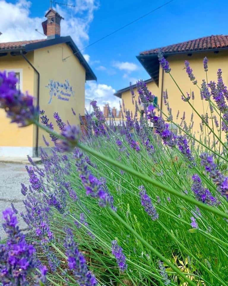 Готель Cascina Domina Gassino Torinese Екстер'єр фото